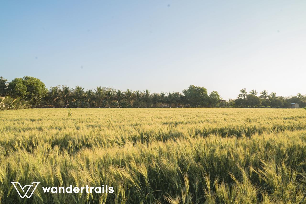 Lookout Villa - A Wandertrails Stay Sasan Gir Ngoại thất bức ảnh